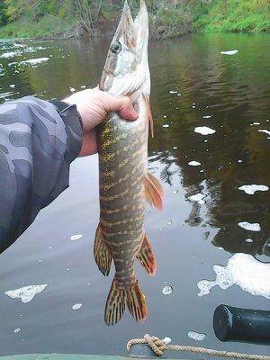 Сплав по Мсте 30-1 октября 005.jpg