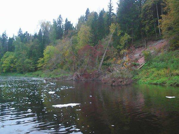 Сплав по Мсте 30-1 октября 006.jpg