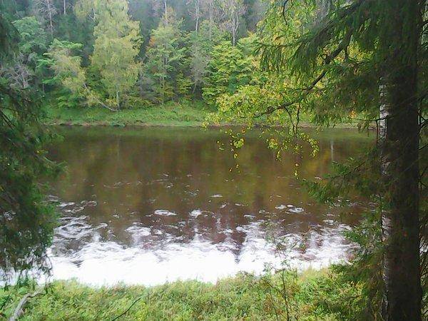 Сплав по Мсте 30-1 октября 008.jpg