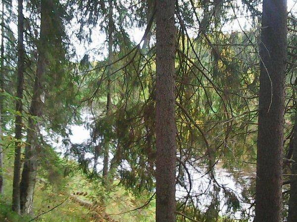 Сплав по Мсте 30-1 октября 009.jpg