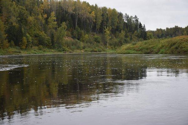 Сплав по Мсте 30-1 октября 2017 017.JPG