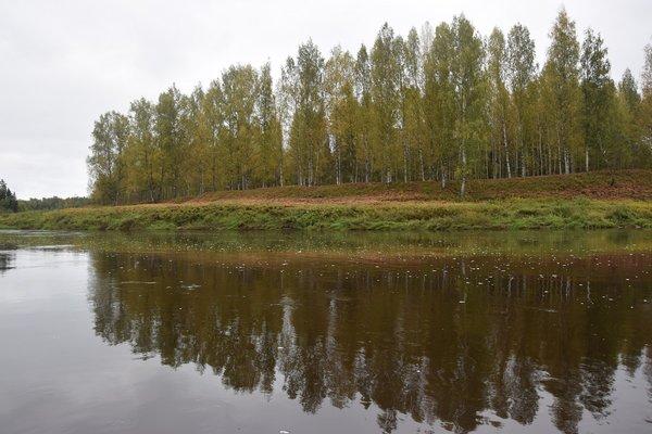 Сплав по Мсте 30-1 октября 2017 018.JPG