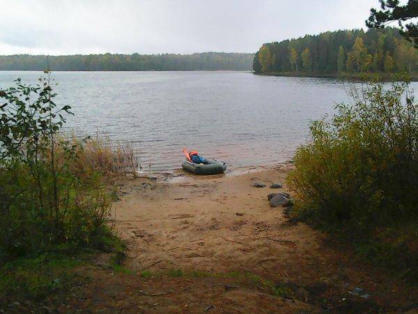 Грибы - Рыбалка 6 октября 2017 007.jpg