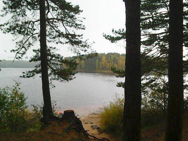 Грибы - Рыбалка 6 октября 2017 008.jpg