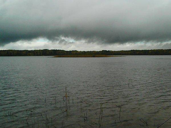 Грибы - Рыбалка 6 октября 2017 015.jpg