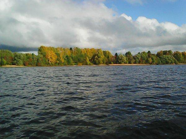 Грибы - Рыбалка 6 октября 2017 019.jpg