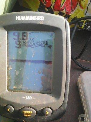 Грибы - Рыбалка 6 октября 2017 021.jpg