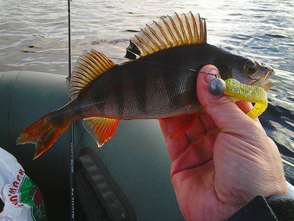 Грибы - Рыбалка 6 октября 2017 025.jpg