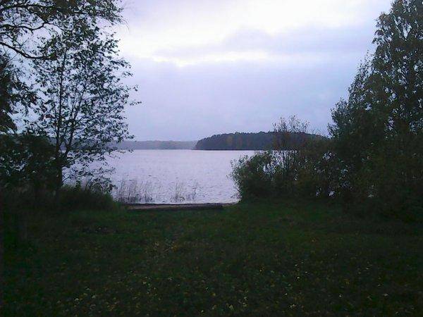 Грибы - Рыбалка 6 октября 2017 028.jpg