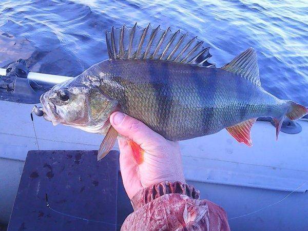 Велье 7-8 октября 2017 013.jpg