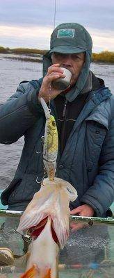 WP_20171014_15_16_22_Pro (2).jpg