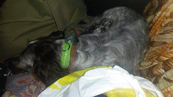 Юбилейный Джеркфест 2017 осень Браславы!!! 022-4.jpg