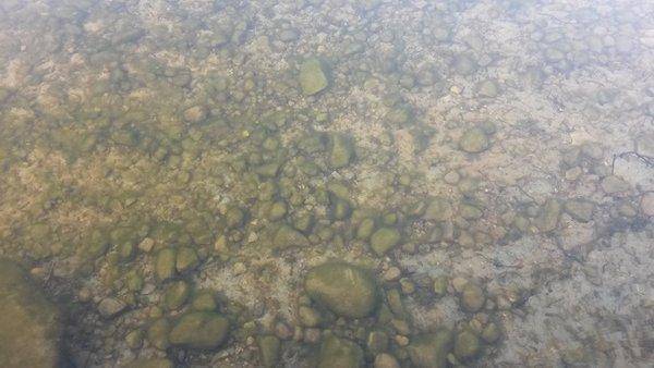 Юбилейный Джеркфест 2017 осень Браславы!!! 001.jpg