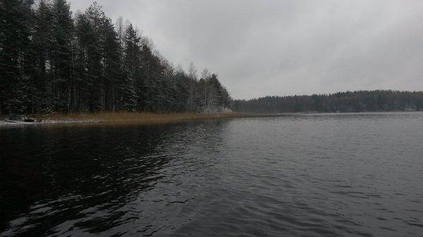 Боровно 27 октября 2017 011.jpg