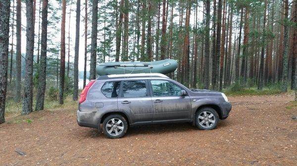 Боровно 5 ноября 2017 008.jpg