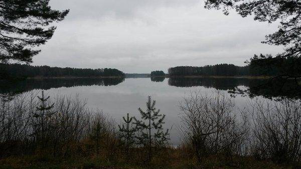 Боровно 5 ноября 2017 009.jpg