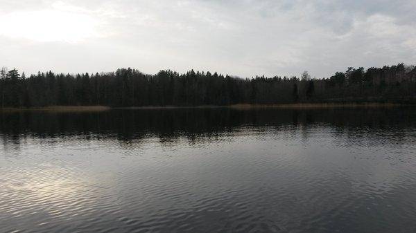 Боровно 5 ноября 2017 013.jpg