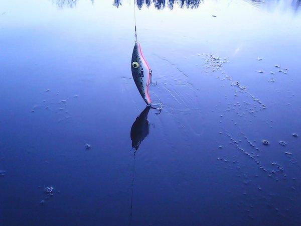 Закрытие летнего сезона 2017 002.jpg