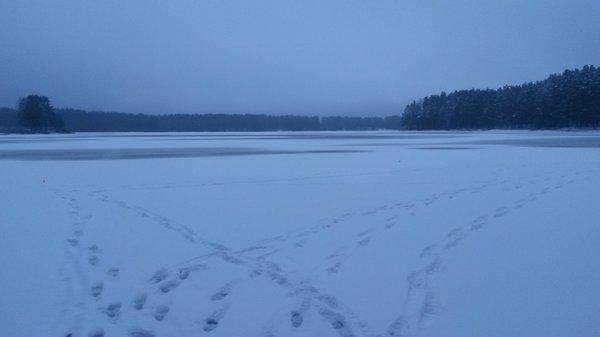 Розливы 9 декабря 2017 001.jpg