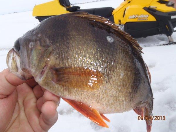 тулитово Нирвана 019.JPG