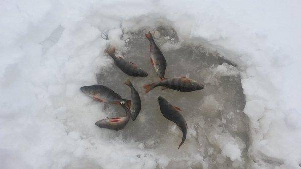 Рыбалка 16 декабря 2017 001.jpg