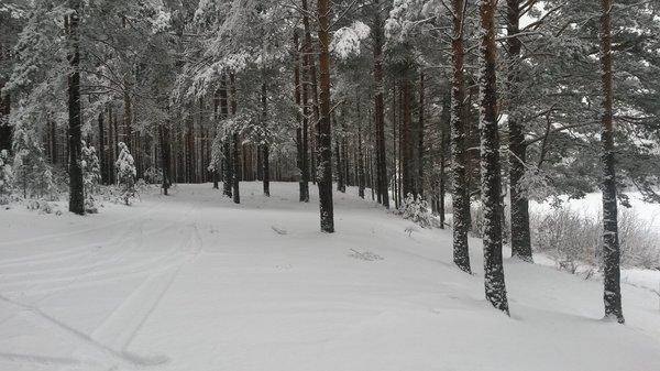 Розливы 17 декабря 2017 003.jpg