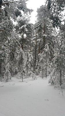 Розливы 17 декабря 2017 005.jpg