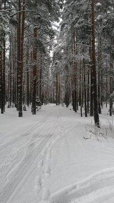 Розливы 17 декабря 2017 007.jpg