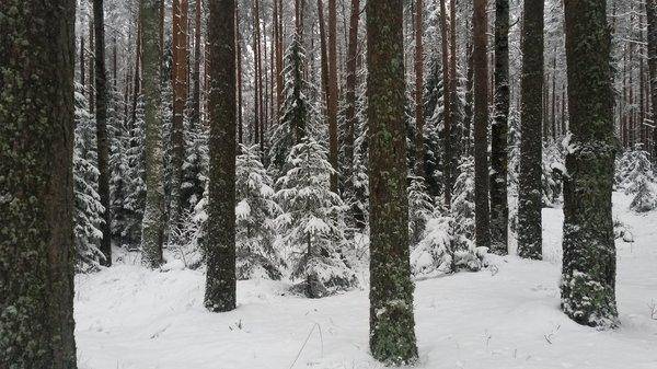 Розливы 17 декабря 2017 009.jpg