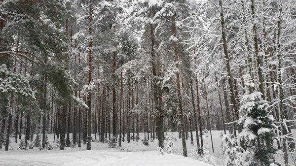 Розливы 17 декабря 2017 014.jpg