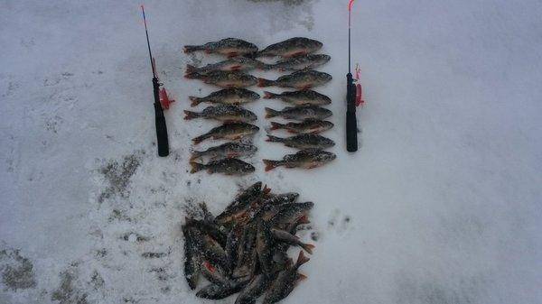 Рыбалка 22 декабря 2017 003.jpg