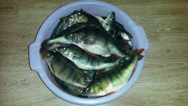 Супер рыбалка на Ладоге 16-27 января 2018 012.jpg