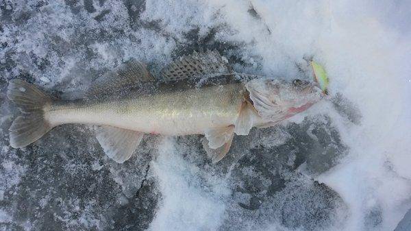 За судаком 23 февраля 2018 002.jpg