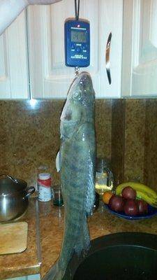 За судаком 23 февраля 2018 003.jpg