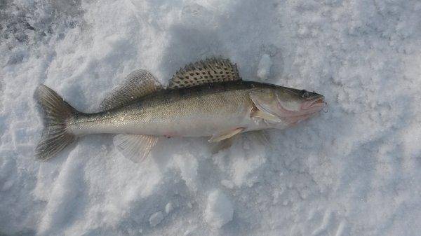 За судаком 25 февраля 2018 005.jpg