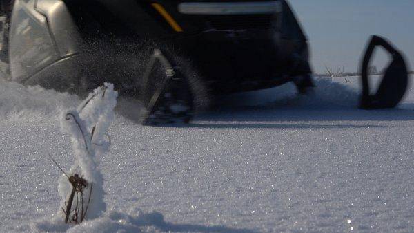 C0098Ант на мопеде.MP4_snapshot_00.09.jpg