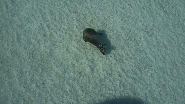 2018-03-28 14-29-15.JPG