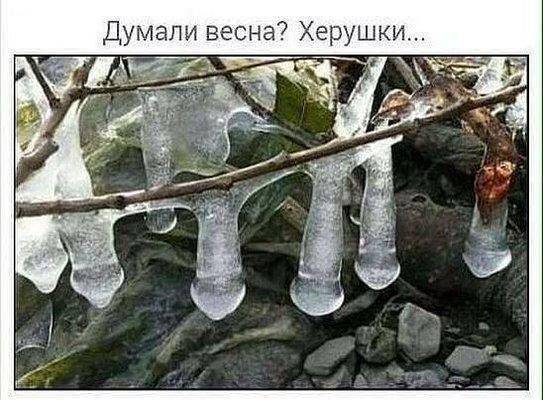 VK_Saved_Photo_ 636562194956875368.jpg