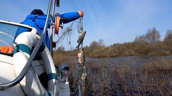 погоняшки 2018-17.jpg