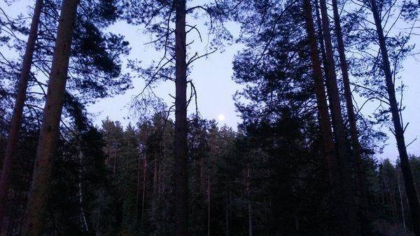 Весенний отдых 2018 014.jpg