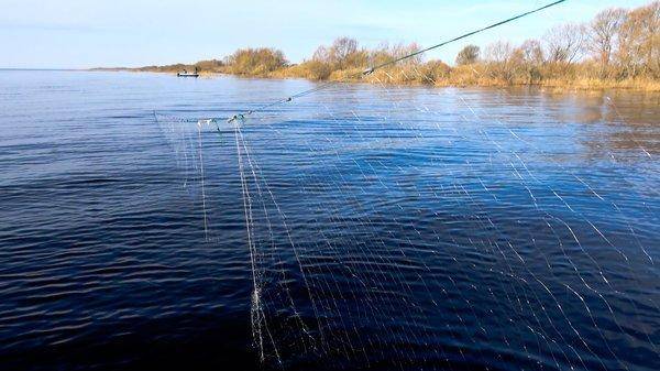 погоняшки 2018-32.jpg