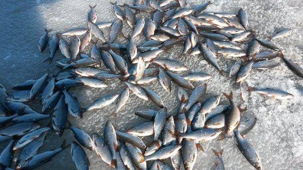 Креницы 4 апреля 2018 006.jpg