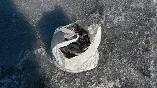 Креницы 4 апреля 2018 008.jpg