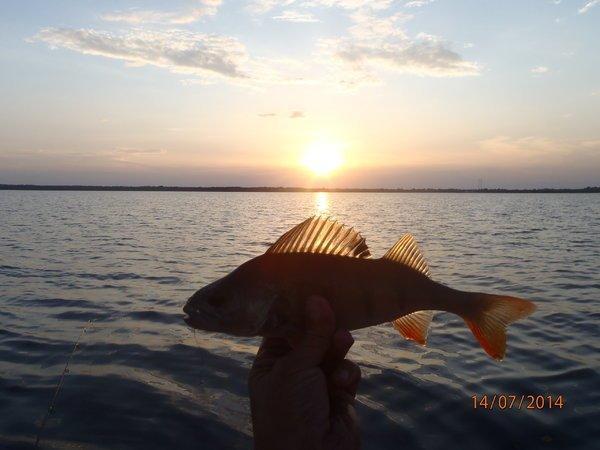 оз пиро7 041.JPG