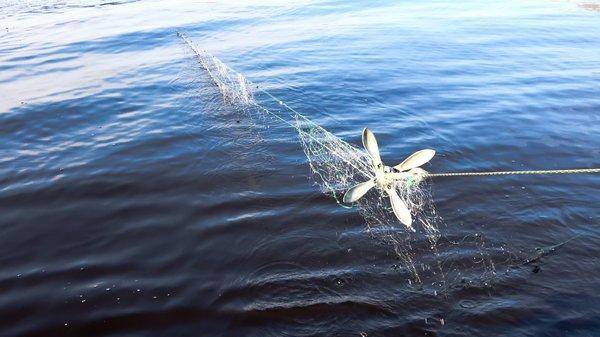 погоняшки 2018-34.jpg