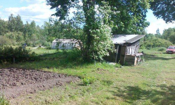 IMG_20160607_160545 - копия.jpg