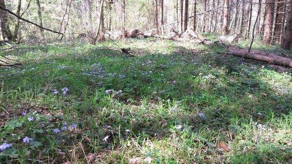 Мста 7-8мая 2018 005.jpg