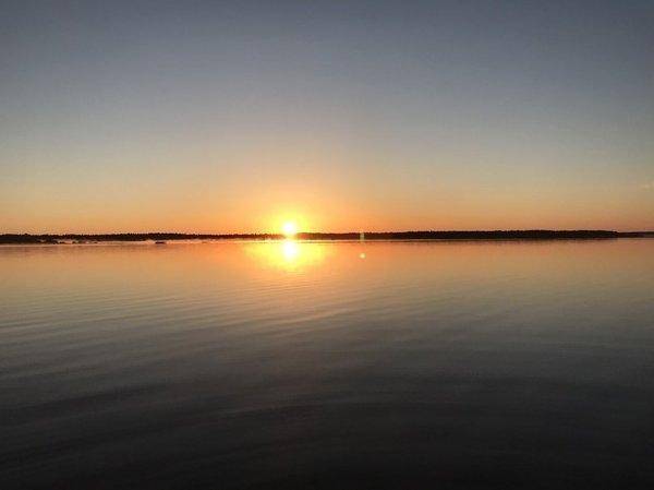 VK_Saved_Photo_ 636617510517165654.jpg