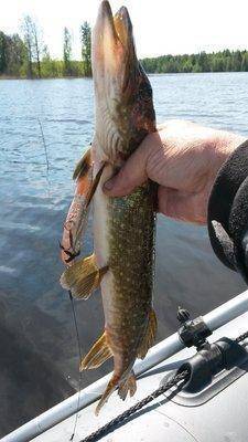 Джерковые Покидушки 18-20 мая 2018 015-1.jpg