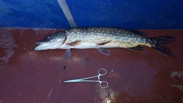 2018-05-09 06.19.24.jpg